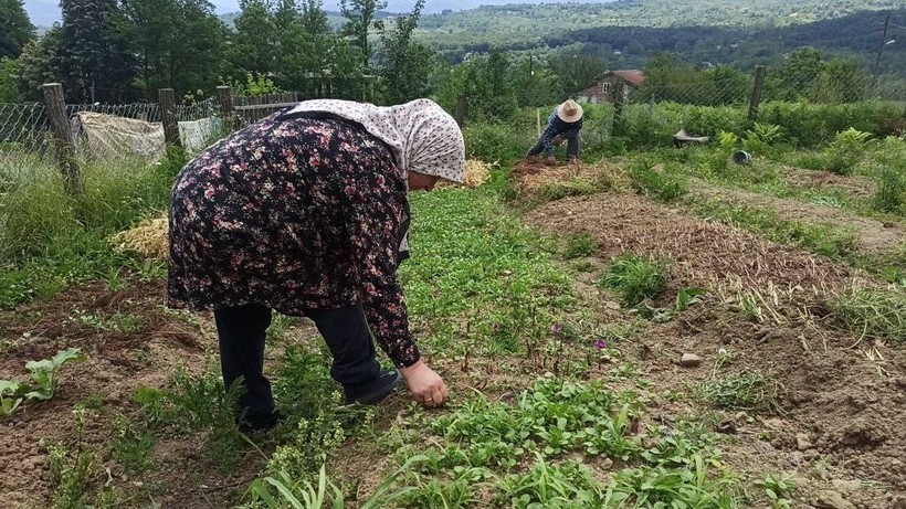 İstanbul'dan Memleketlerine Döndüler, Bir İlki Başardılar: Şimdi Taleplere Yetişemiyorlar - Resim: 3
