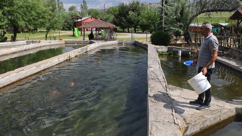 Soğuk Suda Kendi Halinde Büyüyor, Sofrada Fırtına Estiriyor! Avrupa Kapıda Kuyruk Oluyor, Yiyen Hayran Kalıyor - Resim: 3