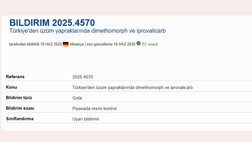 Türklerin Ünlü Lezzetinde Ölümcül Tehlike! Almanya Yolundan Geri Döndü - Resim : 1