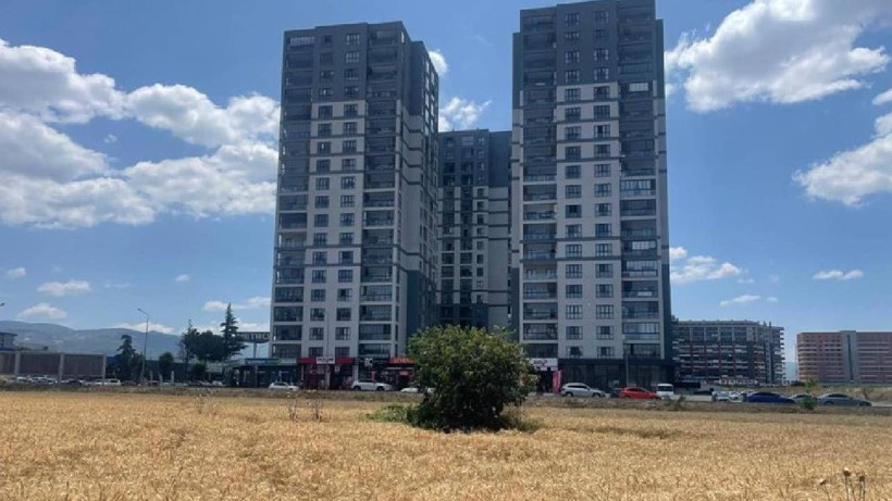 Milyon Dolarlık Gökdelenlerin Ortasında Hasat Başladı! Görenler Gözlerine İnanamıyor, Dönüp Bir Daha Bakıyor - Resim: 3