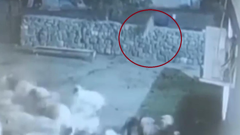 Eşine Az Rastlanır İnanılmaz Olay! Koyundan Oscarlık Ölüm Oyunu! Kurdun Elinden Böyle Kurtuldu - Resim : 2