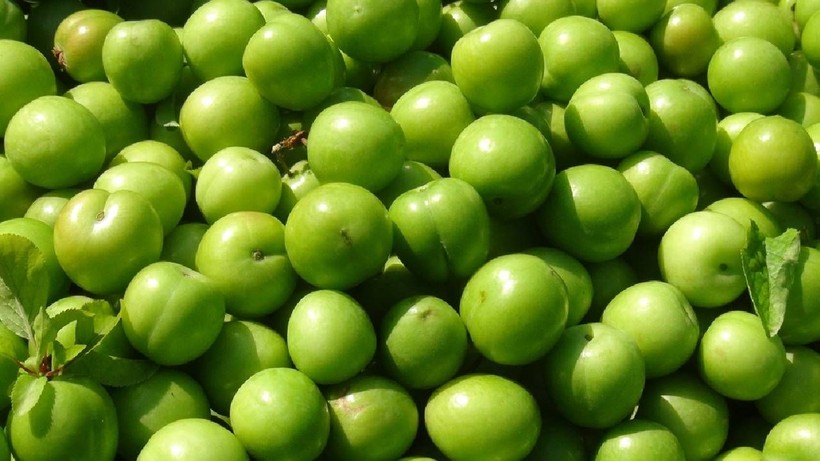 Silifke'de Hasat Başladı! Kilosu 7 Bin 600 Lira Birden Düştü, Tüm Dünya Kapış Kapış Alıyor - Resim: 3