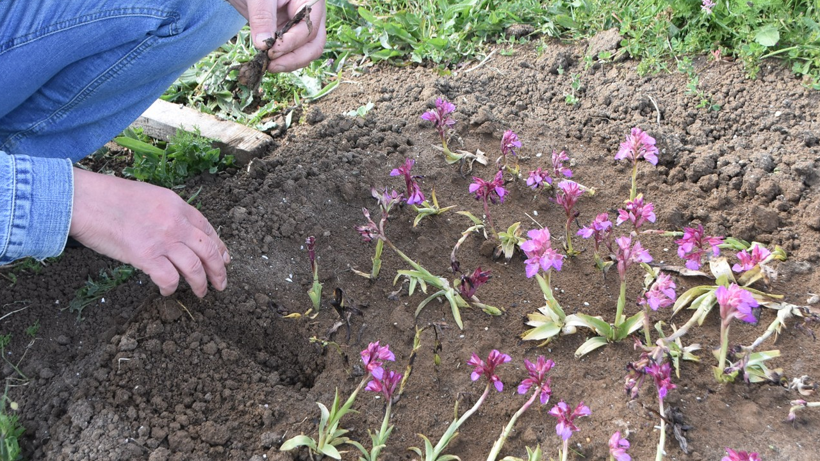 Ailece Başladılar, 2 Yılda Köşeyi Döndüler: Getirisi Oldukça İyi, Herkese Tavsiye Ederim - Resim: 1