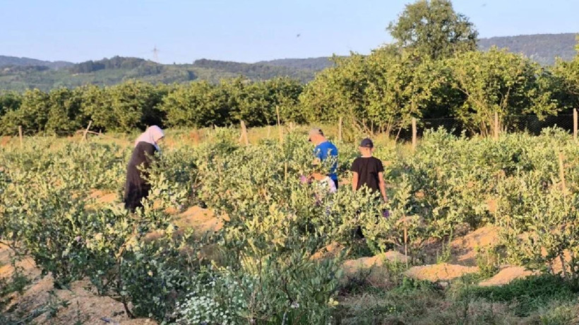 22 Yaşında Kendi İşini Kurdu Şimdi Taleplere Yetişemiyor - Resim: 3