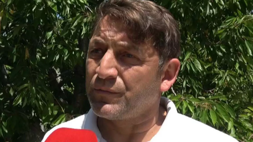 Böyle Hasat Görülmedi! Her Ağaçta 2 Tane Kaldı: Geçen Yıl 45 Liraydı, Bu Yıl Fiyatı Altınla Yarışıyor - Resim: 1