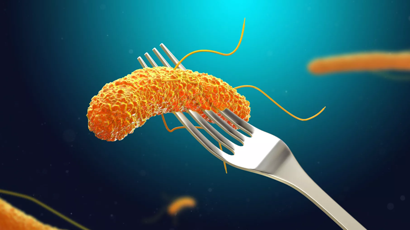 Bir Ayda İkinci Ölümcül Alarm! Türkiye’nin Kabusu Sınıra Sıçradı… Tüm Sevkiyata El Konuldu - Resim : 3