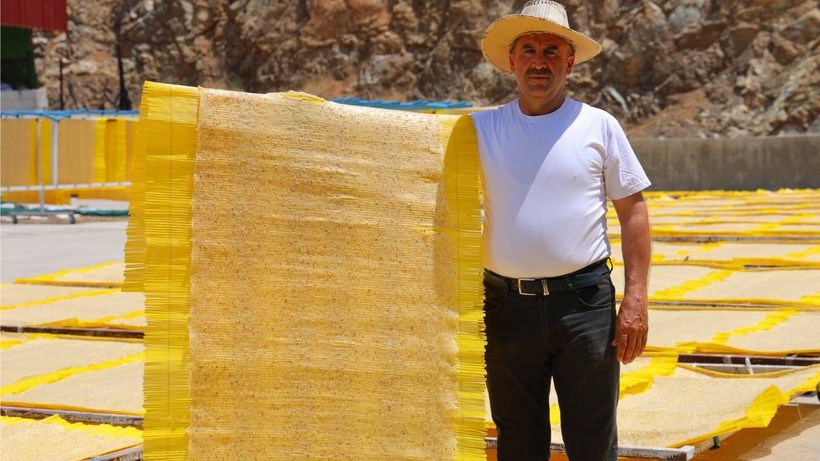 Coğrafi İşaretli Meşhur Lezzet Cips Haline Getirildi, Artık Avrupa'da Yok Satıyor - Resim: 1