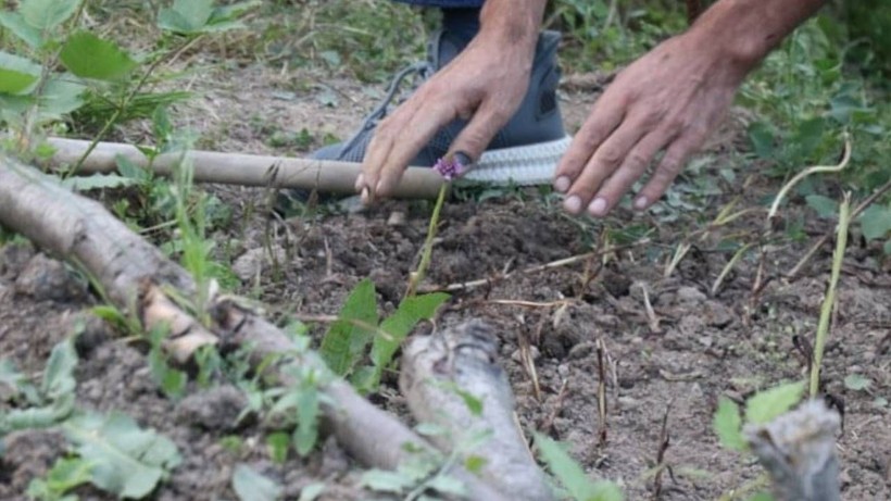 İzin Alıp Başladılar, Ailecek Zengin Oldular: Evlerinden Çıkmadan, Paraya Para Demiyorlar - Resim: 2