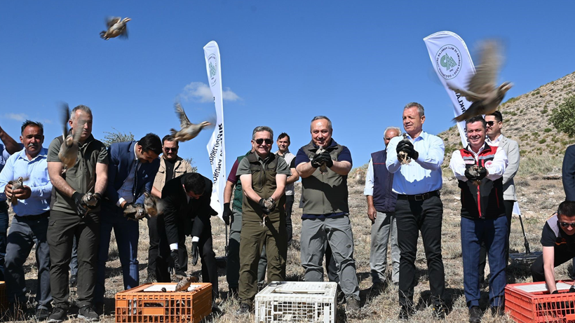 Türkiye’nin Öldüren Kabusuna Sıra Dışı Çözüm! 600 Tanesi Aynı Anda Doğaya Bırakıldı - Resim : 2