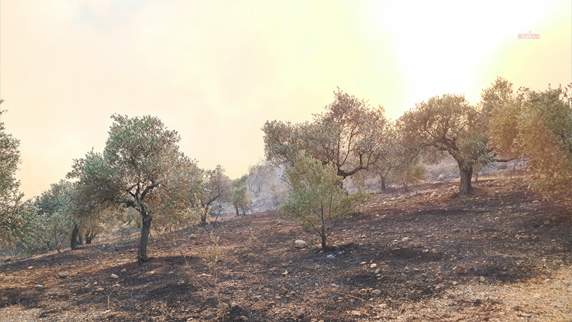 Felaketi Yaşayan Hatay’da Acı Sözler: 'Herkes Depremden Çıkmış Yeni Kendine Geliyordu, Her Şey Tekrardan Bitti' - Resim : 3