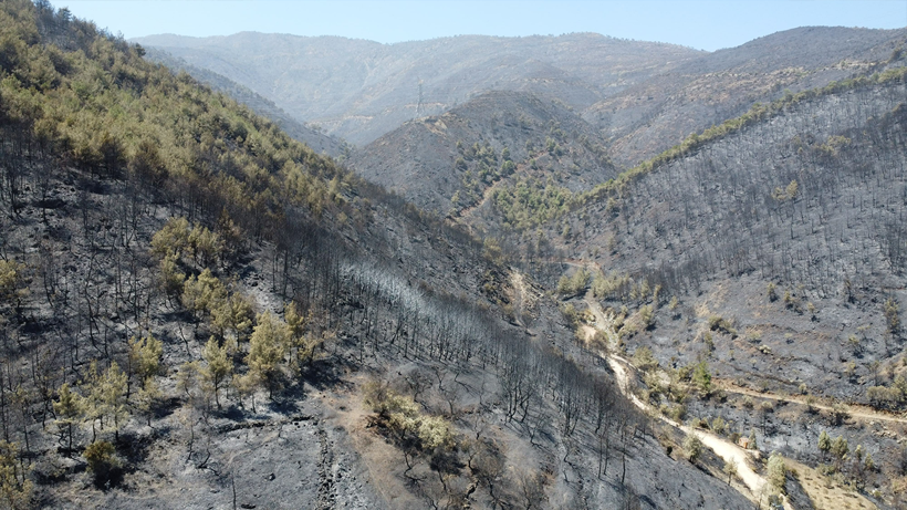 İzmir, Hatay, Bilecik… Türkiye’nin 'Yürek Yakan Kara'sı! Alevler Yuttu Geriye Gözyaşı Kaldı, İşte Yangının En Acı Fotoğrafları - Resim: 1