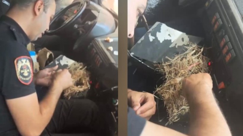 Hatay’da Alevlerin Ortasında Kalp Isıtan Vefa! Kuş Yuvasındaki Feryadı Görmezden Gelmediler - Resim : 2