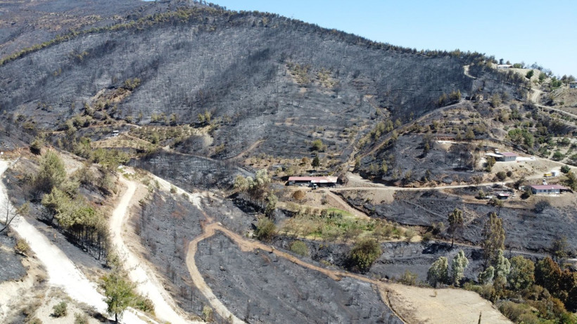 İzmir, Hatay, Bilecik… Türkiye’nin 'Yürek Yakan Kara'sı! Alevler Yuttu Geriye Gözyaşı Kaldı, İşte Yangının En Acı Fotoğrafları - Resim: 6
