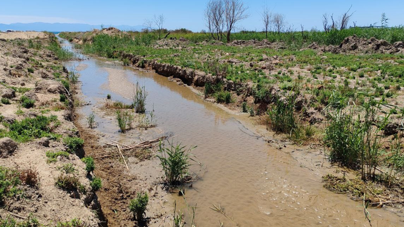 Hatay’da Yangından Sonra Bir Felaket Daha Alarm Verdi! 15 Dakikada 40’ı Birden Öldü… Sebebi Ne Duman Ne de Alev - Resim : 3