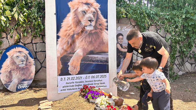 Avcılar Bayıltmak Yerine Katletmişti! Aslan Zeus'un Heykelini Diktiler - Resim : 2