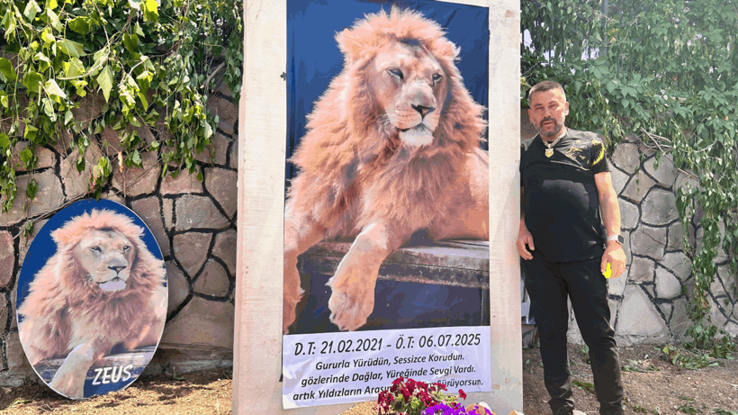 Avcılar Bayıltmak Yerine Katletmişti! Aslan Zeus'un Heykelini Diktiler - Resim : 3