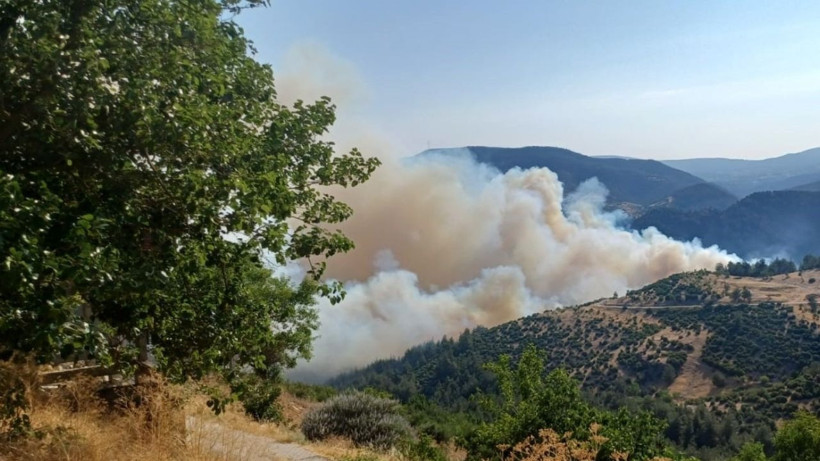 Bursa ile Balıkesir Arasında Orman Yangını: Bir Mahalle Tahliye Edildi - Resim : 1