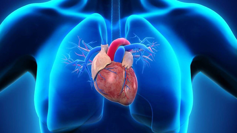 Kalp Krizinin En Çok Yaşandığı Ülkeler Belli Oldu: Türkiye'nin Sıralaması Şaşırttı - Resim: 3