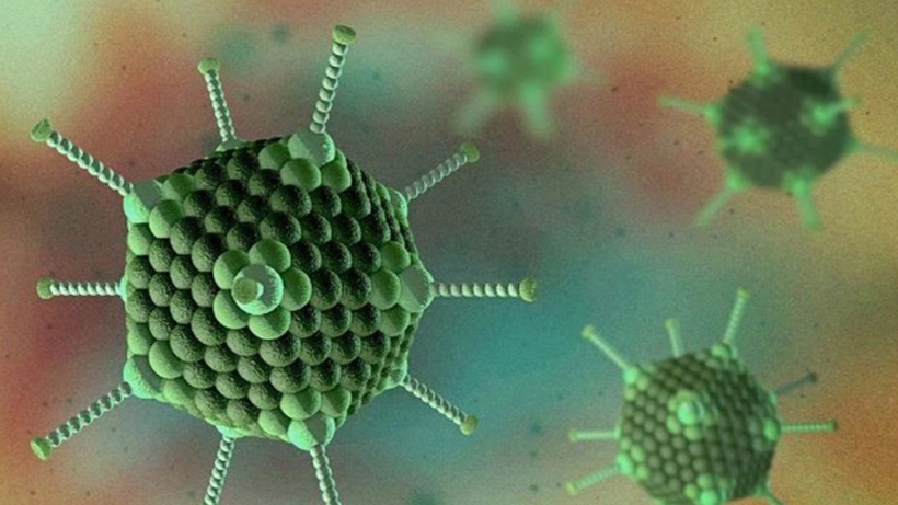 Çocuklar İçinde Saatlerce Kalıyor! Yazın Favorisinde Gizli Kabus, Yeni Salgın Alarmı... Vakalar Pik Yaptı - Resim : 1