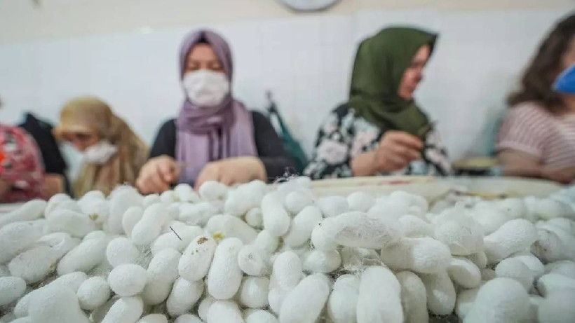130 Kişi Ordu Gibi Tek Tek Ayıklıyor, Ücretsiz Dağıtıyor: 20 Gün Sürüyor, Türkiye'de Sadece Orada Üretiliyor - Resim: 1