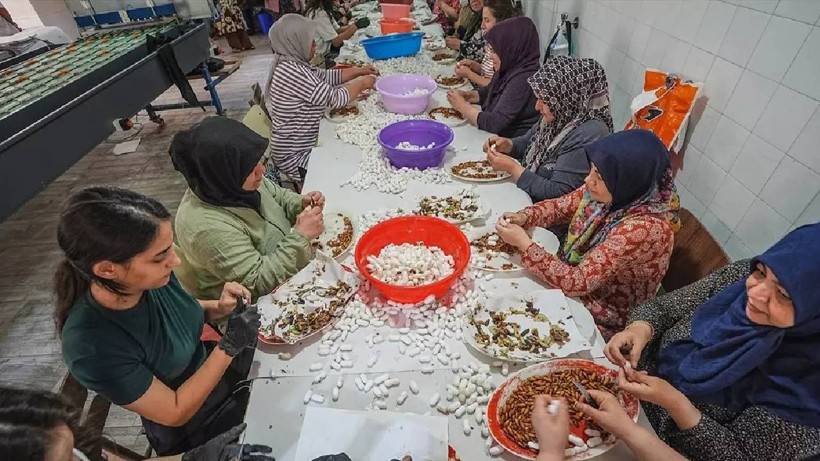 130 Kişi Ordu Gibi Tek Tek Ayıklıyor, Ücretsiz Dağıtıyor: 20 Gün Sürüyor, Türkiye'de Sadece Orada Üretiliyor - Resim: 3