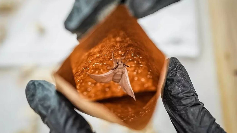 130 Kişi Ordu Gibi Tek Tek Ayıklıyor, Ücretsiz Dağıtıyor: 20 Gün Sürüyor, Türkiye'de Sadece Orada Üretiliyor - Resim: 6