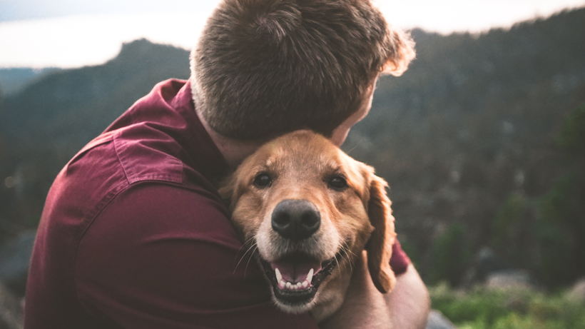 Köpekler ve Sahipleri Birbirlerine Benziyor mu? Bilimsel Kanıt Ortaya Kondu - Resim : 1