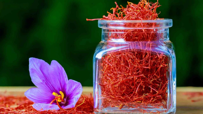 Jandarmanın Başında Nöbet Tuttuğu Tek Hasat Dönemi! Kilosu 600 Bin Lira - Resim: 3