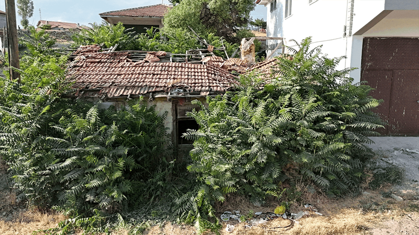 Keloğlan’ın Yüzyıllık Sırrı! Kütüğü Ortaya Çıktı! Duyan Akın Etti, Bir Kent Bunu Konuşuyor - Resim : 2