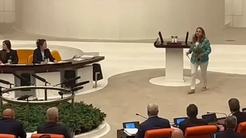 Tartışmalı Yasa Meclis'ten Geçti… Zeytinlikler Artık Madenlere Teslim! - Resim : 2