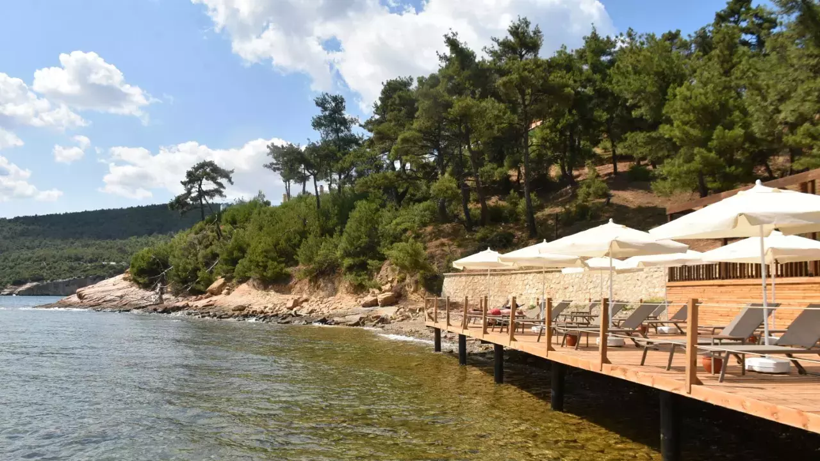 Plajlarda Ölümcül Alarm! Et Yiyen Bakteri Türkiye Kıyılarında… 3 Yolla Buluşuyor - Resim : 2