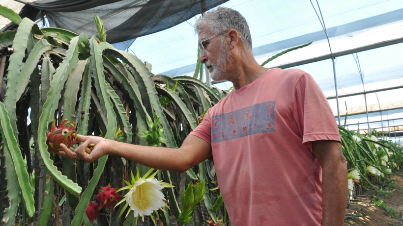 Emekli Olduktan Sonra 'Altın Bileziği' Taktı, Köşeyi Döndü! Kilosunu 200 Liradan Satıyor, 9 Tonluk Hasat Bekliyor - Resim: 3
