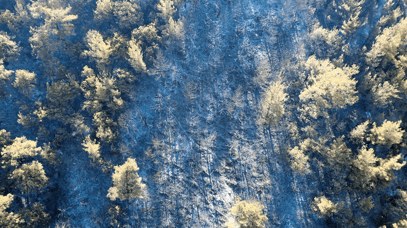 Kızıl Kabus 8 İli Sardı! Bakan Yumaklı Son Durumu Açıkladı! Sakarya'da Bir Yeni Yangın Daha - Resim : 9