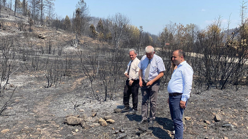 Uzmanı Alanı İnceleyip Açıkladı! İşte Karabük’teki Orman Yangınını Büyüten Gizli Tehlike… - Resim : 3