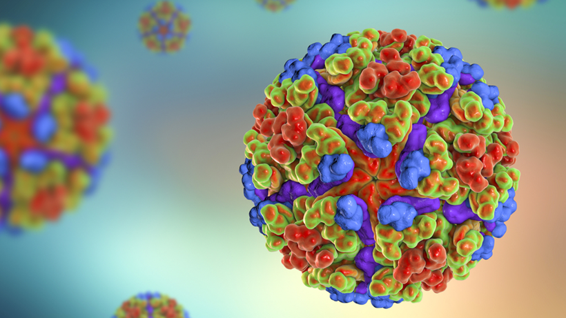 75 Yıl Önceki Ölümcül Kabus Avrupa’da Dirildi! DSÖ Uyardı, Dünya Yeni Salgının Eşiğinde - Resim : 3