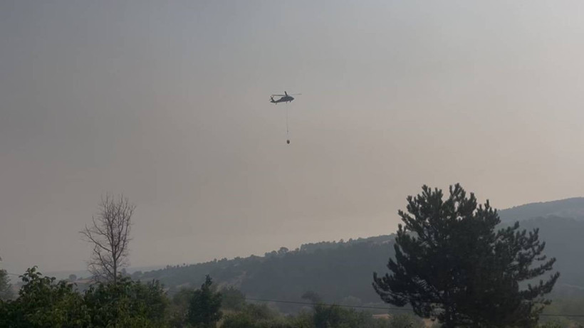 Orman Yangınlarıyla Amansız Mücadele Sürüyor! Bursa ve Karabük Yangınlarında Son Durum - Resim : 4