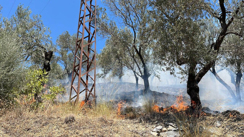 Orman Yangınlarıyla Amansız Mücadele Sürüyor! Bursa ve Karabük Yangınlarında Son Durum - Resim : 1
