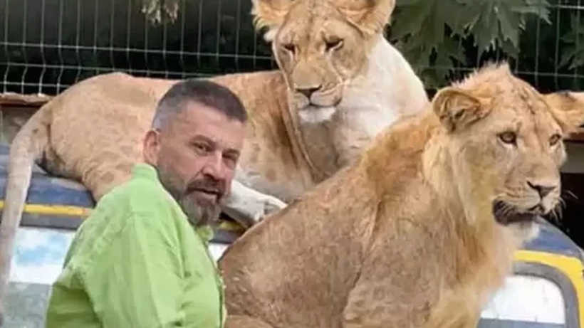 Katledilen Aslan Zeus’un Yaraladığı Çiftçiden İnsanlık Dersi: 'Öldürmeselerdi, Bu Olayda Tek Suçsuz Olan Ben ve Aslan' - Resim : 4