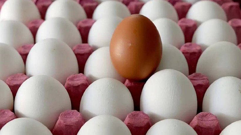 Uygulama Kalktı, Fiyat Fırladı: Ucuz Dönem Kısa Sürdü! O Kararın Ardından Etiketler Apar Topar Değişti - Resim: 2