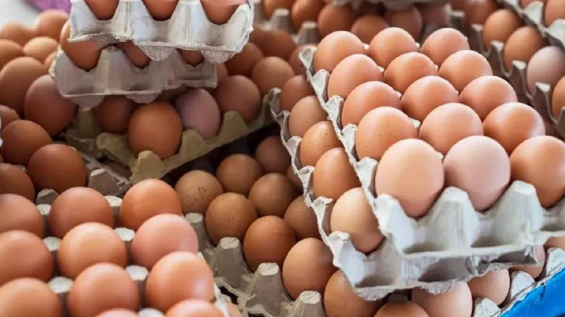Uygulama Kalktı, Fiyat Fırladı: Ucuz Dönem Kısa Sürdü! O Kararın Ardından Etiketler Apar Topar Değişti - Resim: 3