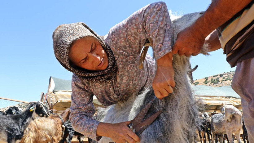 İnternetten Öğrendi, Yaylanın Sessiz Gözcüsü Oldu: Gören Hayret Ediyor, Duyan Onun İzinden Gidiyor - Resim : 2