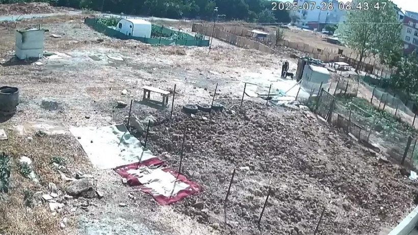 Başakşehir’den Sonra Bu Kez Adres Esenyurt… Köpeklere Vahşet Zinciri - Resim : 1