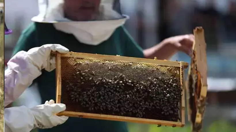 Türkiye’nin Zirvesinde Şaşırtan Olay! 12 Mühür Açıldı Her Şey Değişti - Resim : 2