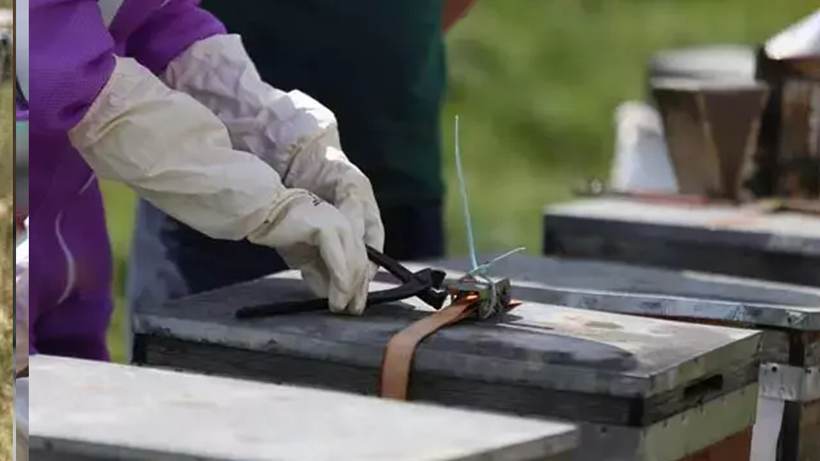 Türkiye’nin Zirvesinde Şaşırtan Olay! 12 Mühür Açıldı Her Şey Değişti - Resim : 4