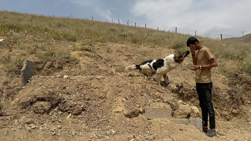 Vefası Yürekleri Yakan Köpeği Sahiplenen Ceylan Ertem’den Acı Feryat! 'Ne Olur' Dedi, Tek Bir Şey İstedi - Resim : 4