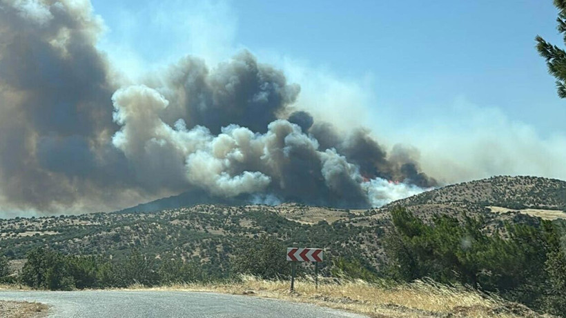 21 Saatlik Kabusta Orman Kül Oldu, Hayvanlar Öldü! Sorumlular Serbest Kaldı - Resim : 2
