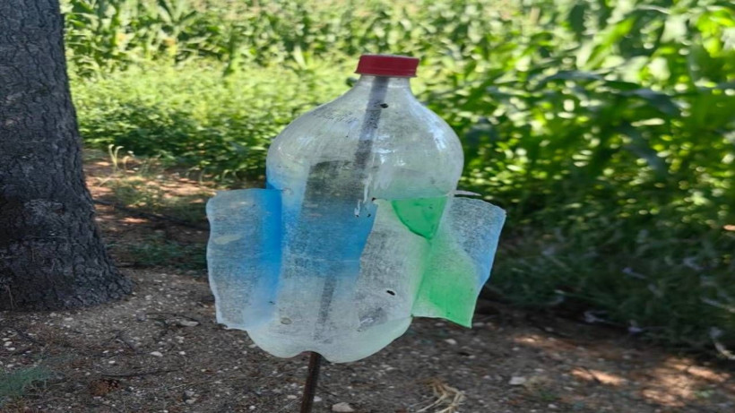 Burası Amerika Değil Türkiye! O İlimizde Yılanlar Tarlaları İstila Etti: Çiftçilerin korunma yöntemi ise pes dedirtti - Resim: 4