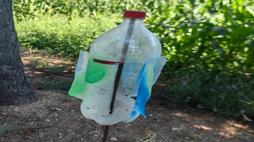 Burası Amerika Değil Türkiye! O İlimizde Yılanlar Tarlaları İstila Etti: Çiftçilerin korunma yöntemi ise pes dedirtti - Resim: 3