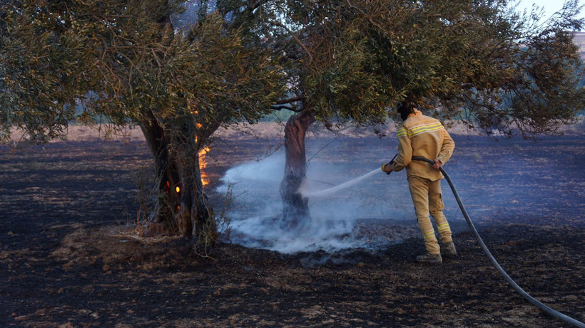 Çanakkale'de Kabus Bitmiyor! Tahliyeler Başladı... Villalar Alev Alev Yandı - Resim : 2