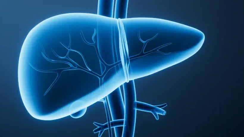Sessizce Yayılıyor, Ölümcül Yeni Pandemi Alarmı! 2050’de 1,5 Milyon Vaka Bekleniyor - Resim : 4